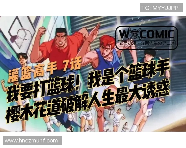 赵芳的篮球人生探索:从梦想起航到巅峰之路的深度对话 赵芳的篮球人生探索:从梦想起航到巅峰之路的深度对话