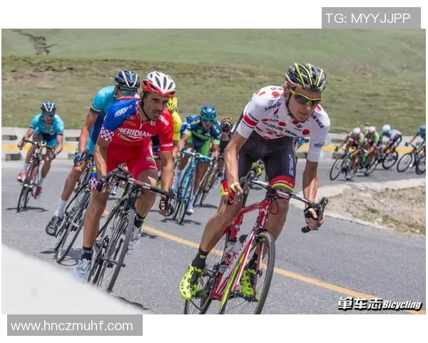 上海网球队以82分稳居精英赛积分榜首位竞争愈发激烈