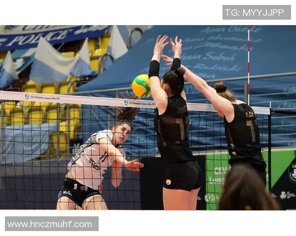 广州排球队的成长之路：挑战赛背后的拼搏与坚持