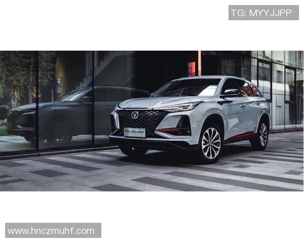 汪柯菡与茱莉亚那的巅峰对决谁将赢得最终荣耀