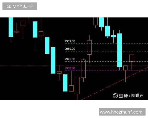 老鹰与快船对决分析及大小分预测策略探讨