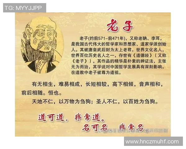 龟尾与报恩尚武的对比探讨及其在现代社会中的意义与影响