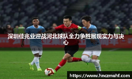 jbo电竞网官网入口